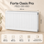 Стальной панельный радиатор Forte Oasis Pro, тип PB 22-500-800